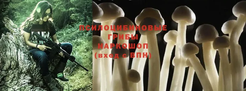 Галлюциногенные грибы MAGIC MUSHROOMS  хочу   Ясный 